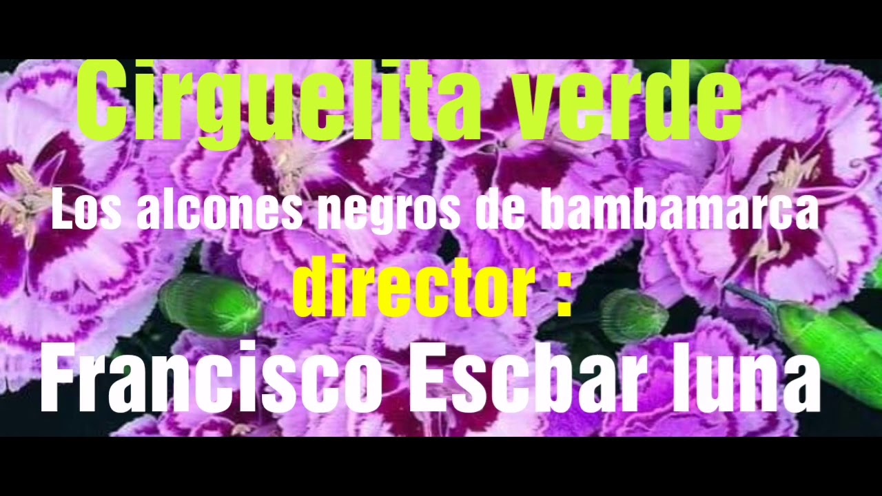 CIRGUELITA VERDE : Los alcones negros bambamarca