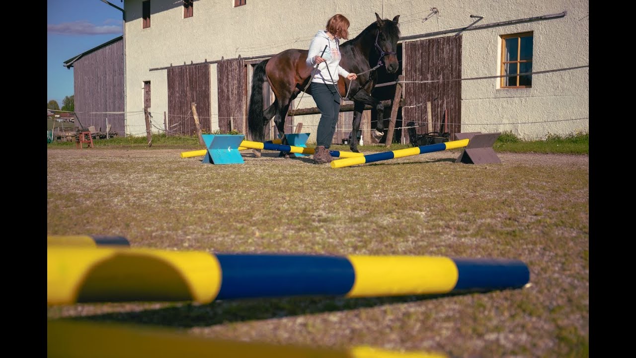 neue Trabstangen entstehen | Farbe am Platz