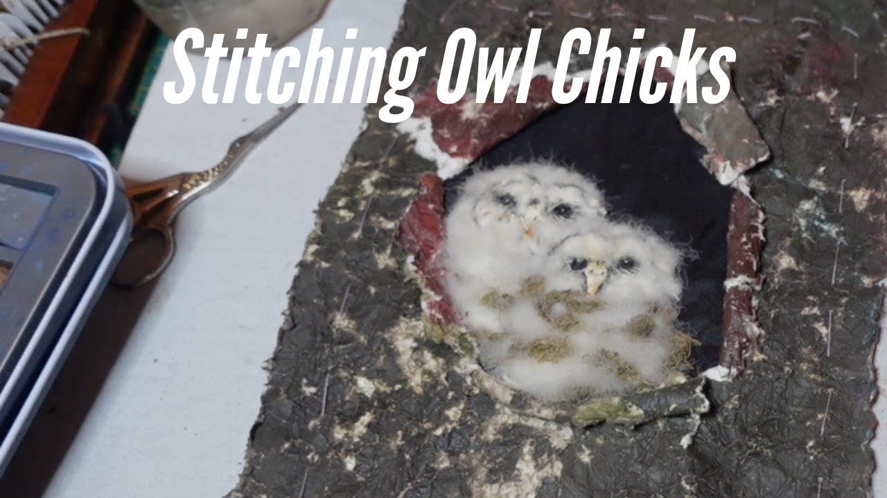 Stitched Owl Chicks. Fabric, Paper and Easy Stitching for Page 12 in My Fabric Bird Book