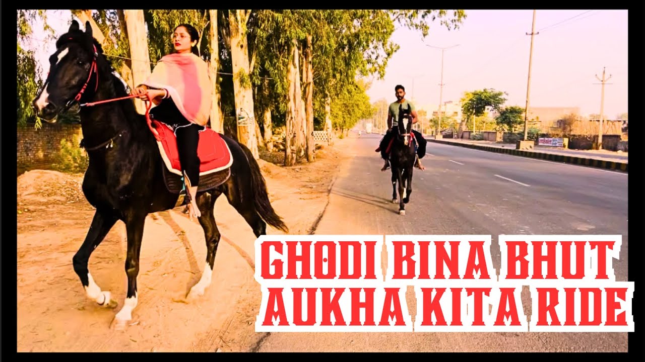 Ajj bhut tang kita ghode ne || first horse riding couple || horse ride without mare || couple ride