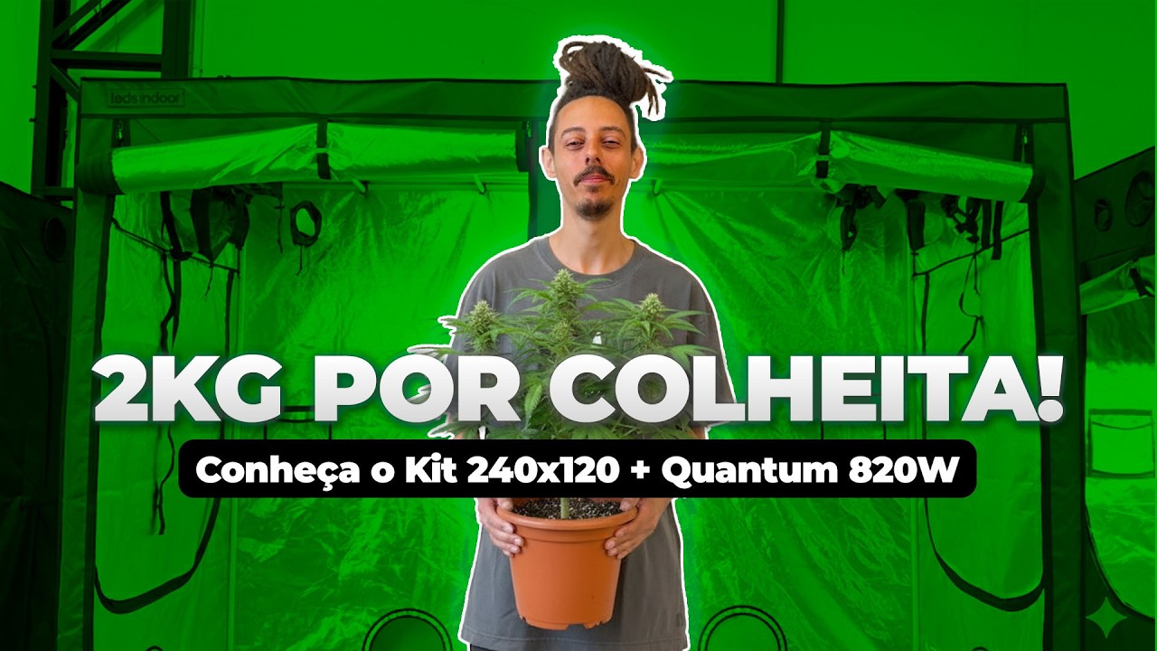 Kit de Cultivo com Estufa 240x120cm + 2 Paineis Quantum 820W | 2kg por Colheita no Cultivo Indoor