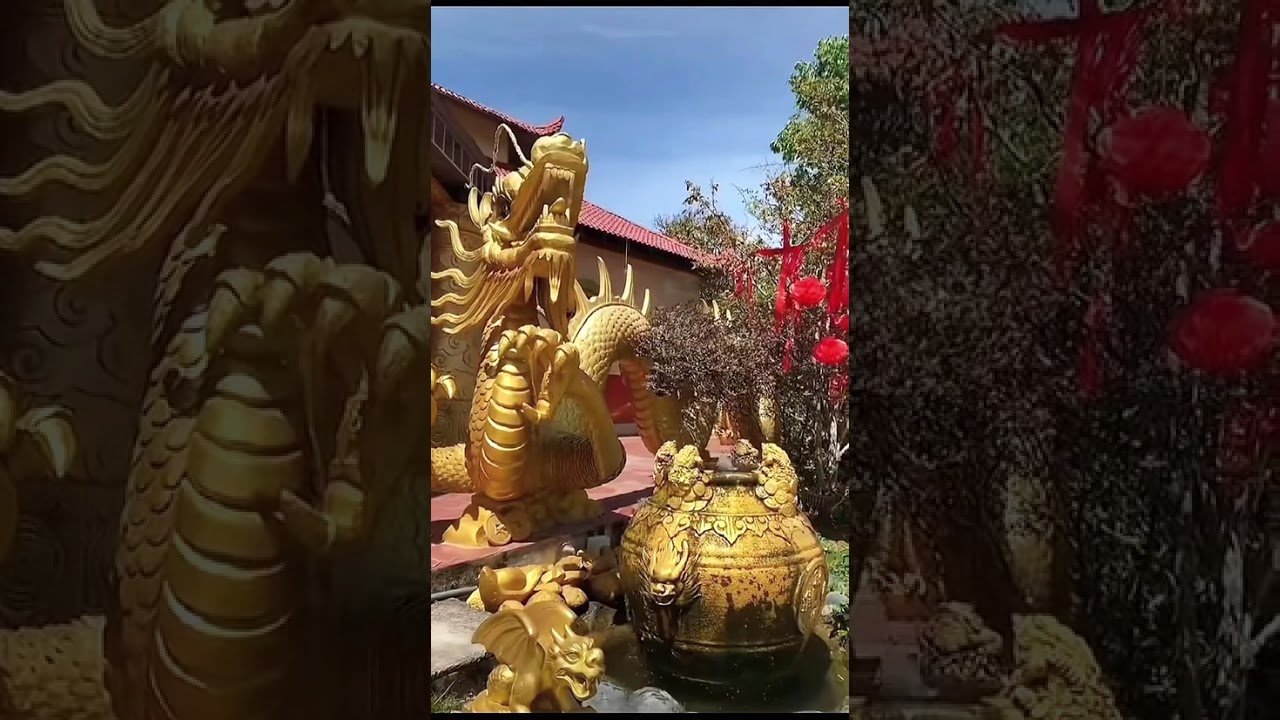 TÂM TỊNH LONG AN