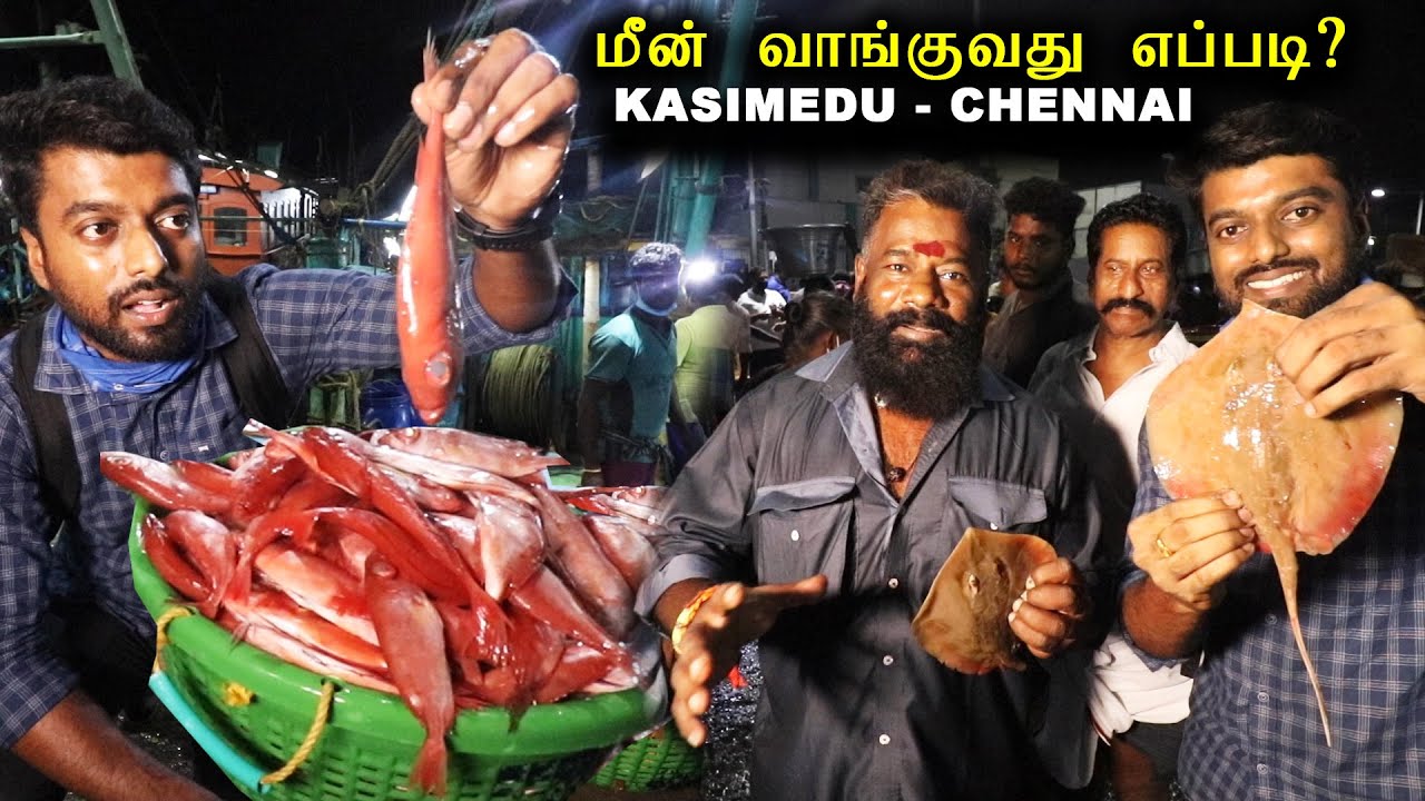 BUSIEST EVER !! Fish Market of Chennai - Kasimedu | Must Eat Fishes