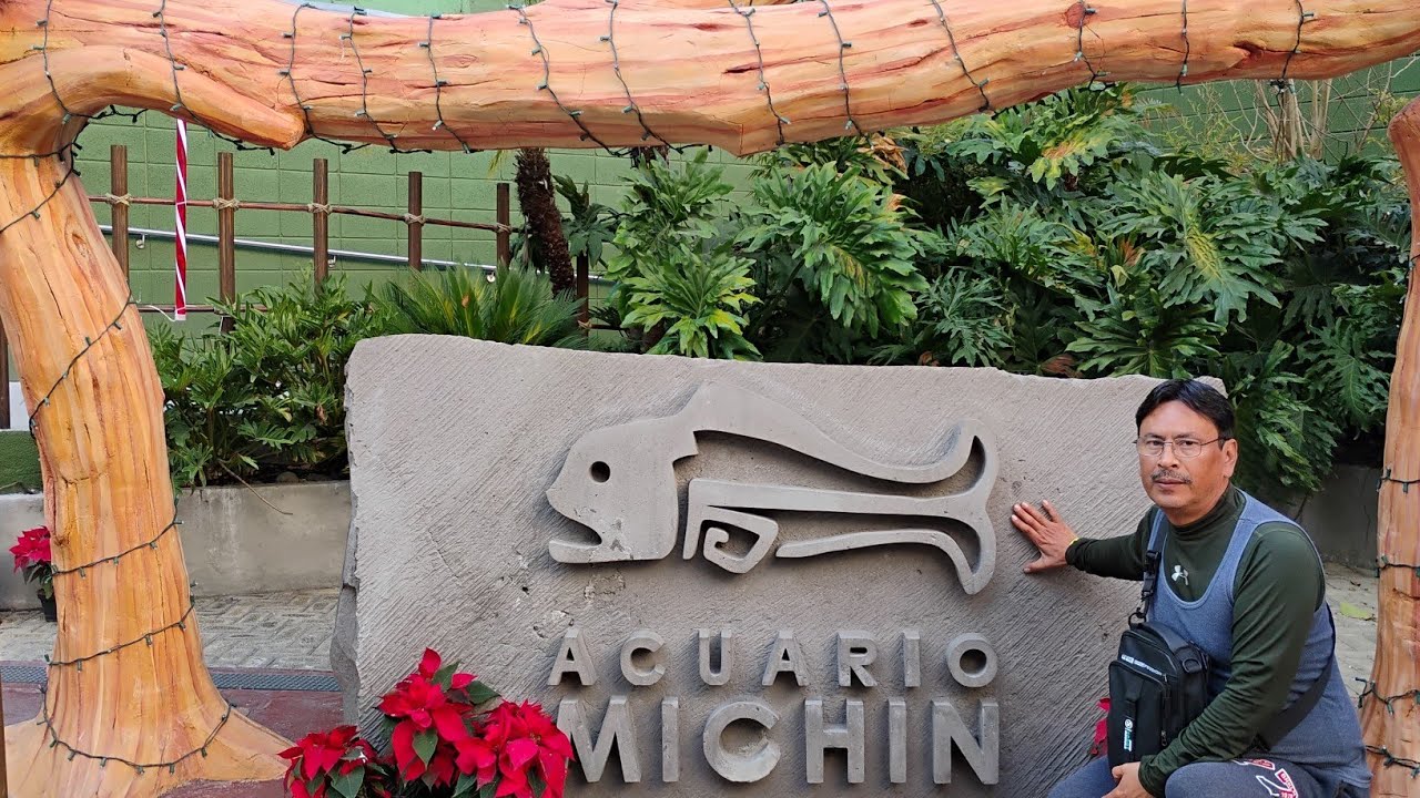 Acuario Michin