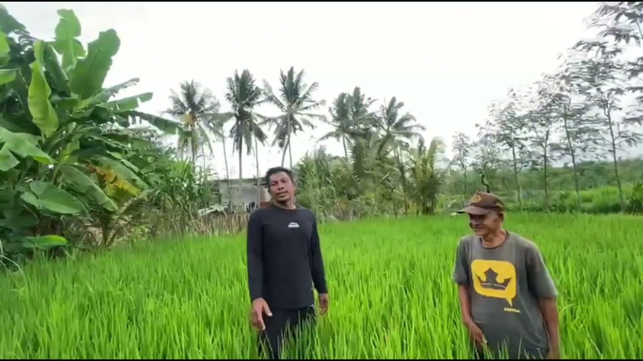 Swasembada Pangan..Kemenangan Petani Kemenangan Indonesia🌾