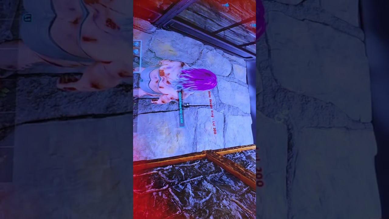 my ark adventures 