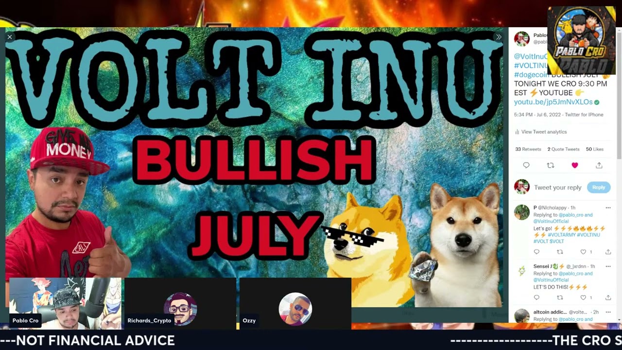 Volt Inu   July Road Map and what to expect #volt #voltinu #volt