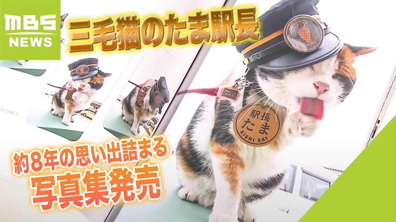 社長「私のベストパートナーだった」廃線寸前の地方鉄道を復活させた『三毛猫のたま駅長』写真集に詰め込まれた約８年間の記録と思い出（2023年5月4日）