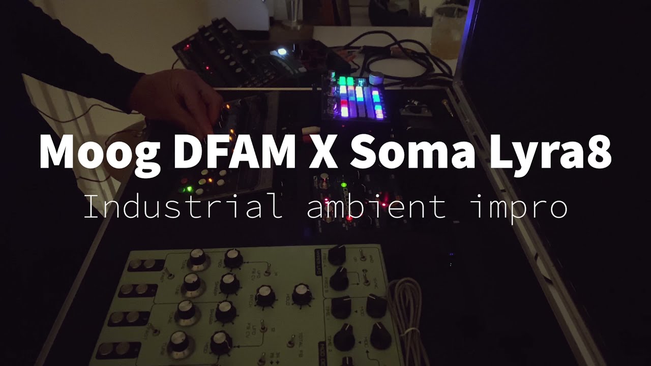 Moog DFAM // Soma Lyra-8 synths // No talking // Industrial ambient impro - brutal drums vs. drones