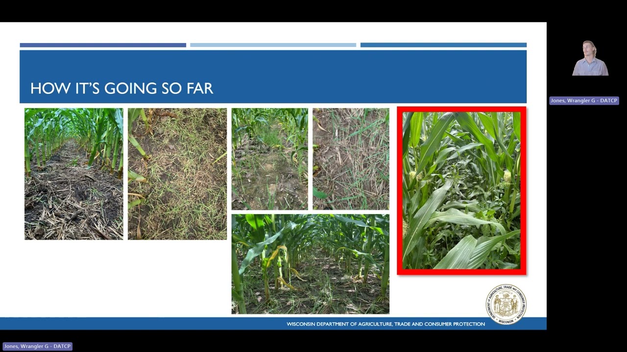 Producer-Led Research Demonstration Plots