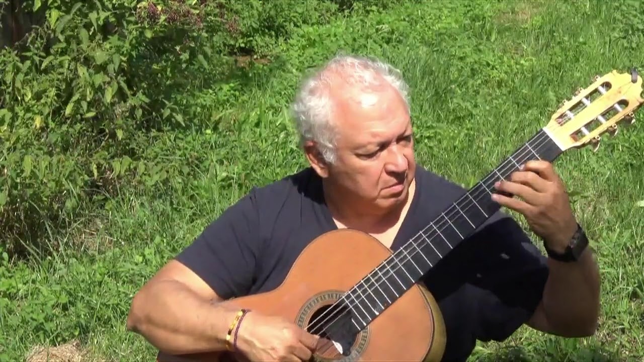 Alfonso Montes Plays El baile del Papelón