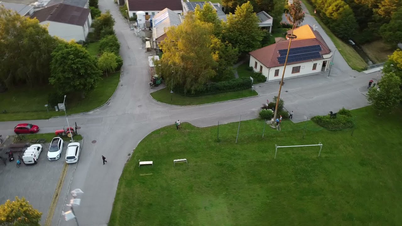 Maibaum umschneiden 2024 der FF Breitenwaida