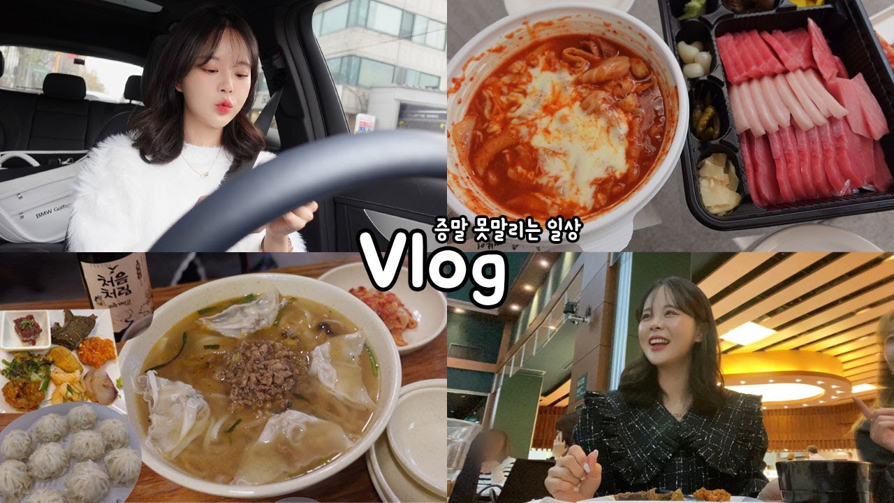 [일상vlog] 숙취 해장도 3차까지 하는 짱구같은 연말의 시작 _ 명동교자+알콜러버+밀푀유나베+참치회+엽떡+뷔페+석화+오리고기