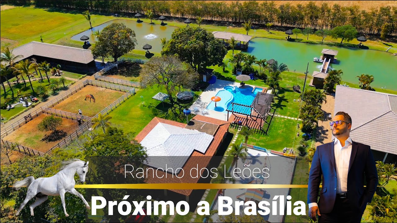Rancho paradisíaco dos Leões | Mendes Leão