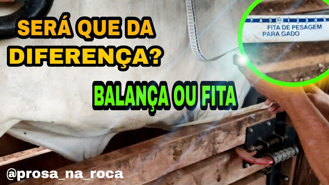 BALANÇA OU FITA DE PESAGEM? SERÁ QUE DA DIFERENÇA