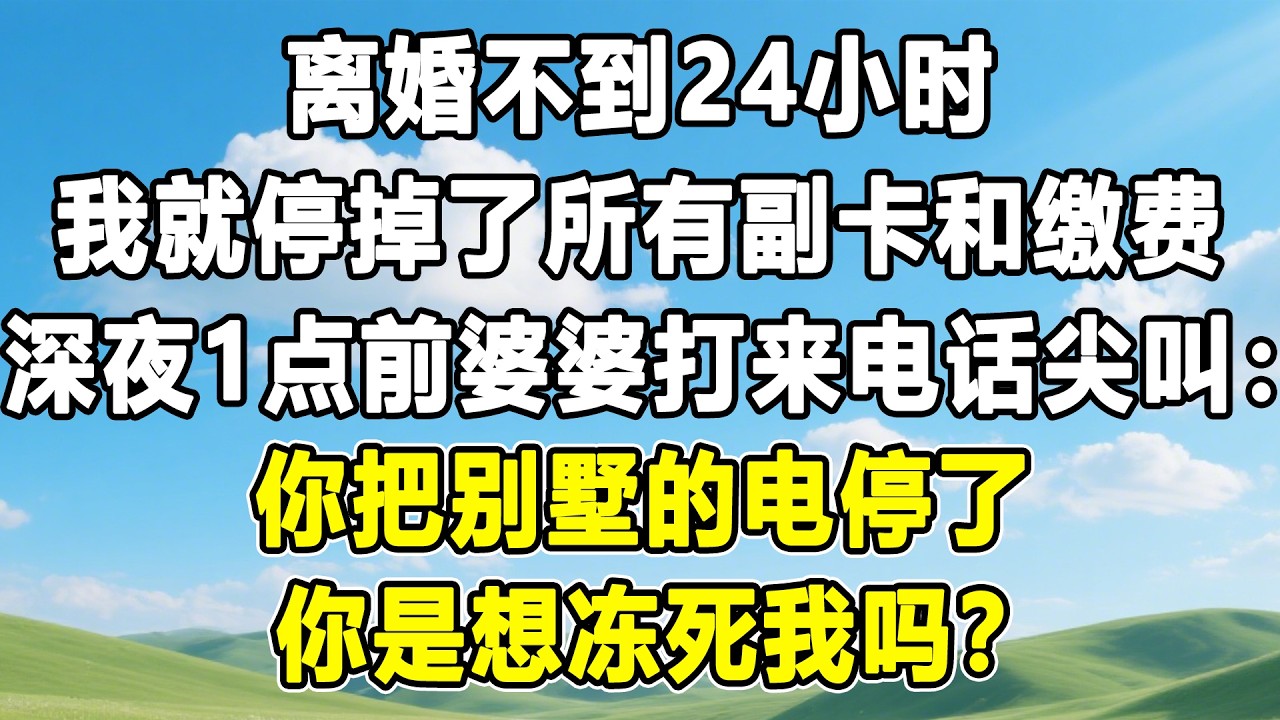 离婚不到24小时，我就停掉了所有副卡和缴费，深夜1点前婆婆打来电话尖叫：你把别墅的电停了！你是想冻死我吗？#情感秘密 #情感 #故事分享 #故事頻道 #人生感悟 #為人處世#生活經驗#婆媳故事