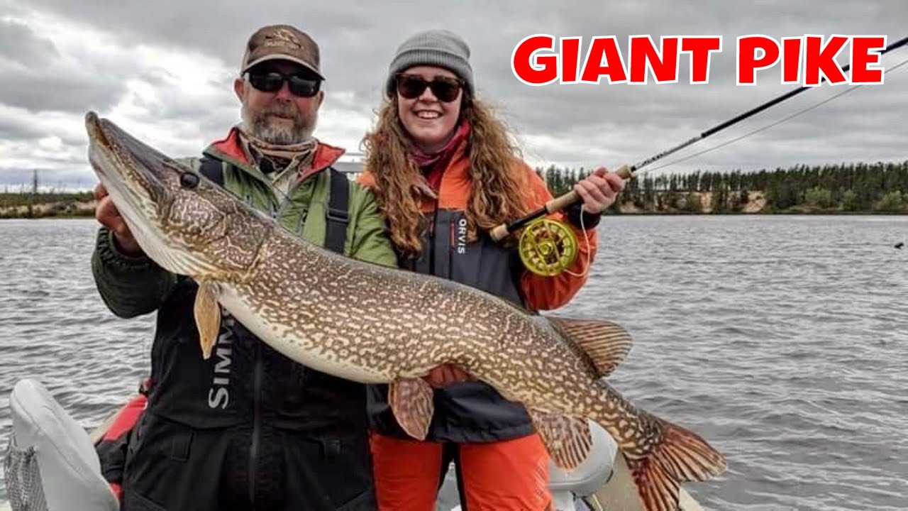 Giant Northern Pike of Saskatchewan | Cree River Lodge