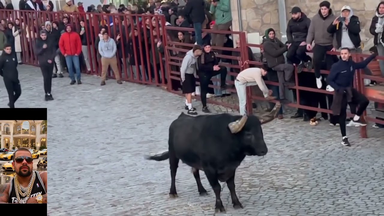 Toro Bravo encierro por la calle 