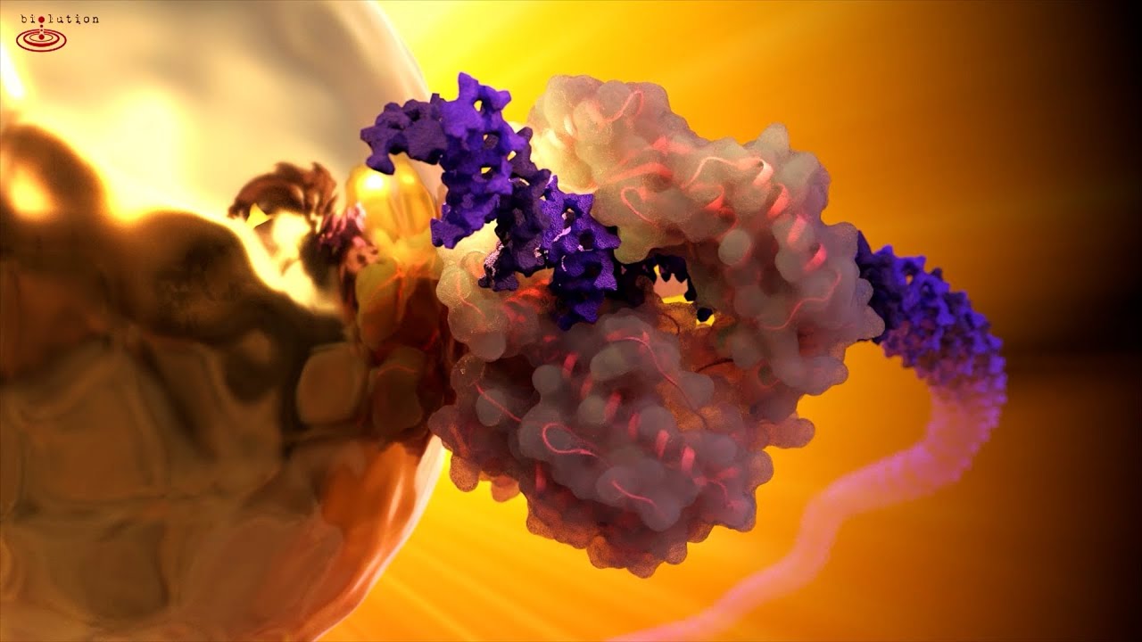 demo reel biolution GmbH 2021
