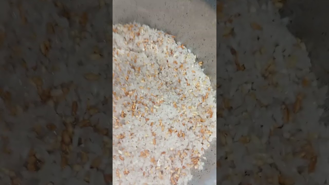 ٢٧ فبراير ٢٠٢٦