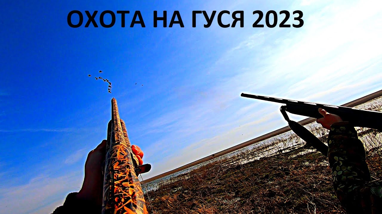 НАШЛИ ТЫСЯЧИ ГУСЕЙ НА ПОЛЕ!!! СУПЕР ОТКРЫТИЕ ОХОТЫ НА ГУСЯ. ТАКИХ НАЛЕТОВ ЕЩЕ НЕ БЫЛО / MAX HUNTER