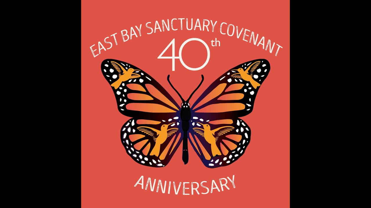 The Origins of the Sanctuary Movement