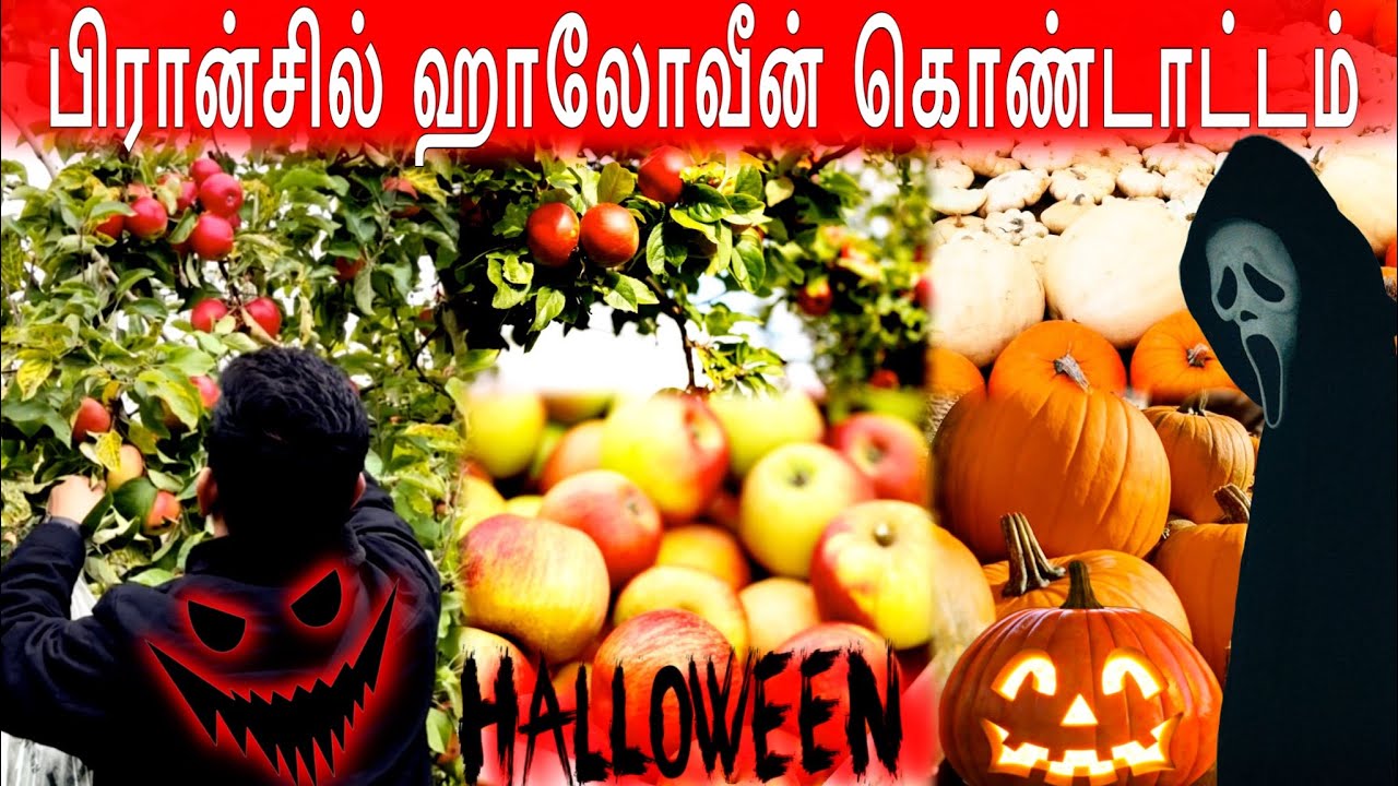 பிரான்சில் ஹாலோவீன் கொண்டாட்டம் ஆரம்பம் | Halloween in france | Cueillette de chanteloup en brie
