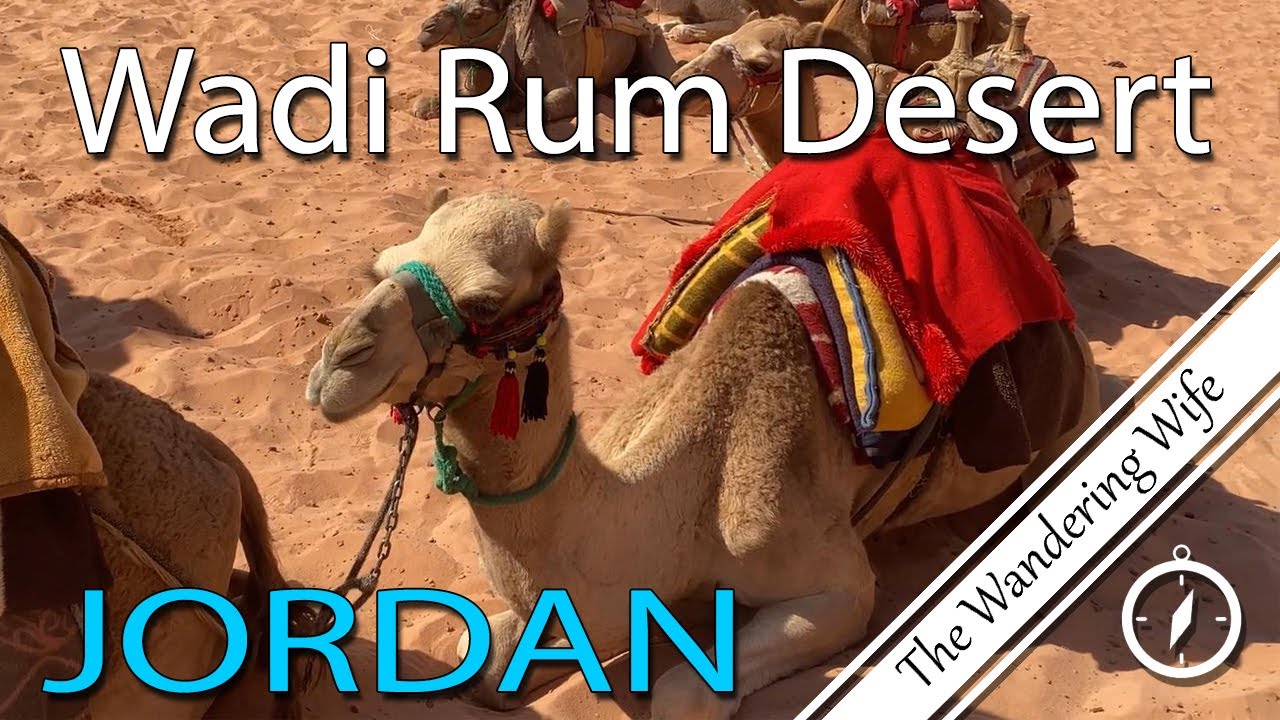 🇯🇴JORDAN 🐪: ❤️Wadi Rum Desert 🌍TRAVEL VLOG 0187 #wadirumdesert #topthingstodoinjordan