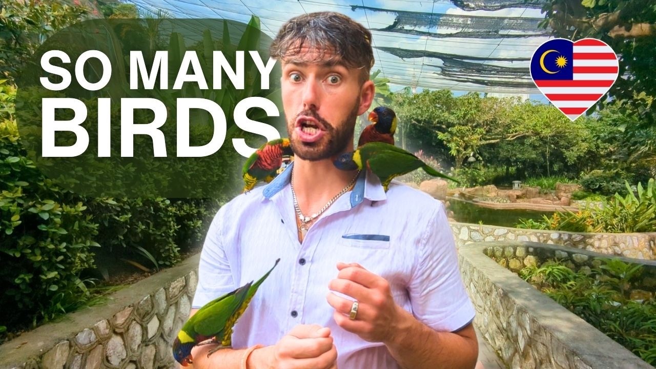Discover KL Bird Park: Up-Close with Exotic Birds in Malaysia! 🦜🇲🇾
