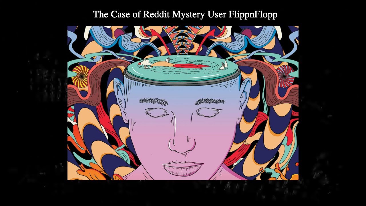 The Case of Reddit Mystery, User FlippnFlopp
