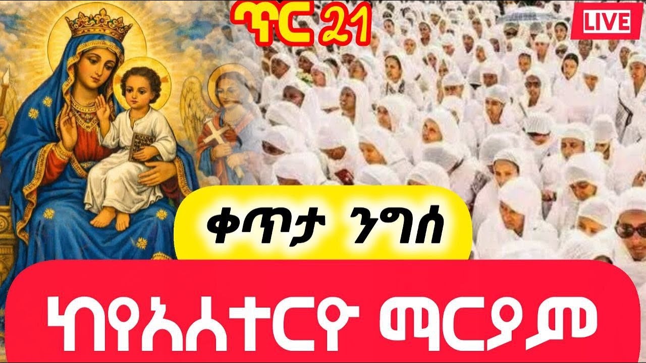 Live‼️ቀጥታ ርጭት‼️ጥር👈‼️21👉ንግስ‼️ከየአሰተርዮ ማርያም👉ሼር ሰብስክራይብ በማድረግ የ ዘወይን ሚድያቤተሰብ ይሁኑ።