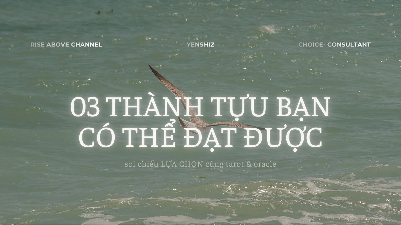 🌱TAROT🌱 HÉ LỘ 03 THÀNH TỰU BẠN 