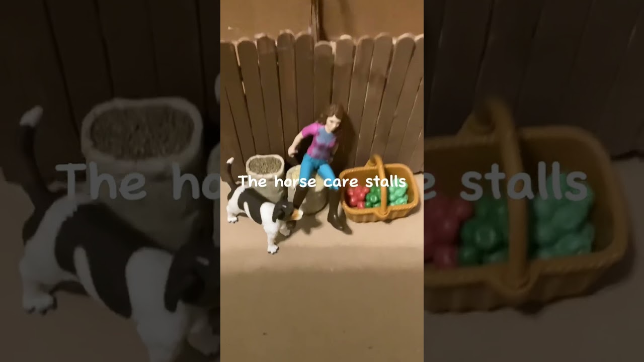 Barn tour-Part 1 
