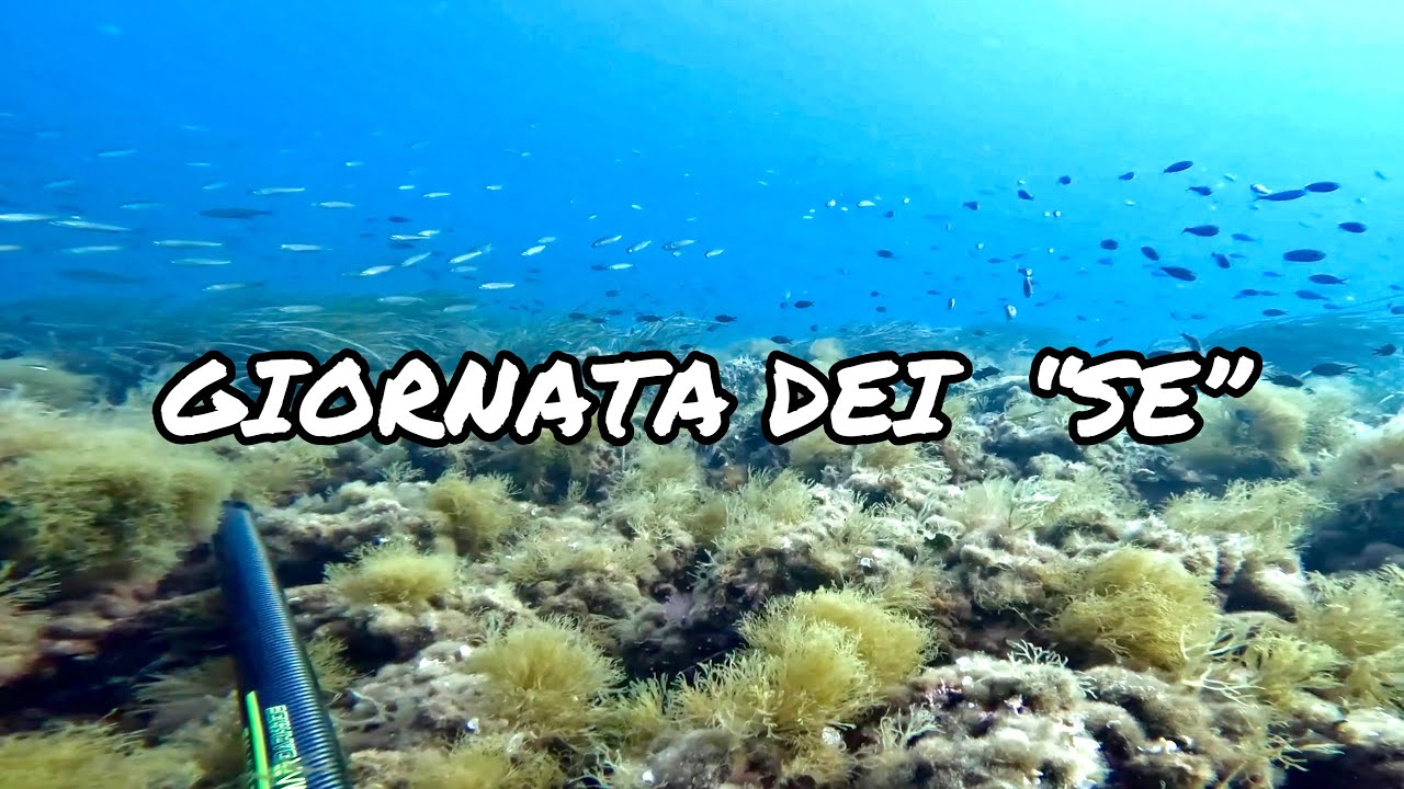 PESCASUB | LA giornata dei SE