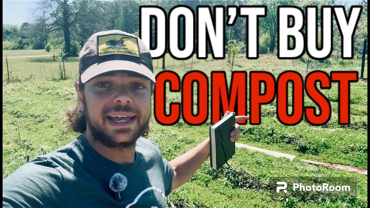 Permaculture Q&A #5: Choosing the Best Strategy for your Orchard/Food Forest