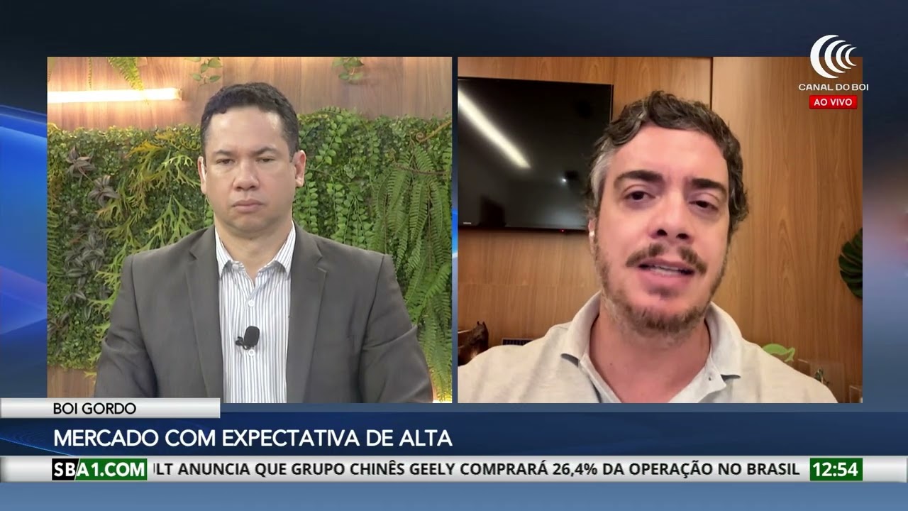 Mercado do boi gordo com expectativa de alta