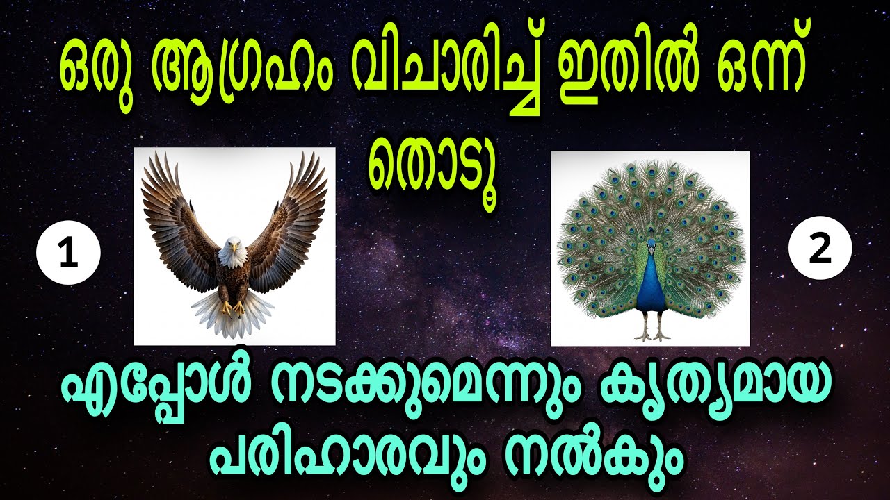 90% ആളുകൾക്ക് ശരിയായി വന്ന തൊടുകുറി ശാസ്ത്രം | നിങ്ങൾ തിരഞ്ഞെടുക്കുന്ന പക്ഷി നിങ്ങളുടെ ഭാവി പറയും