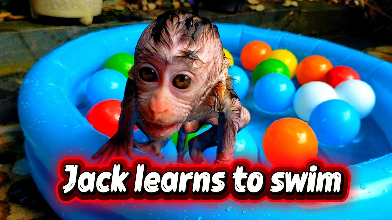Jack learns to swim