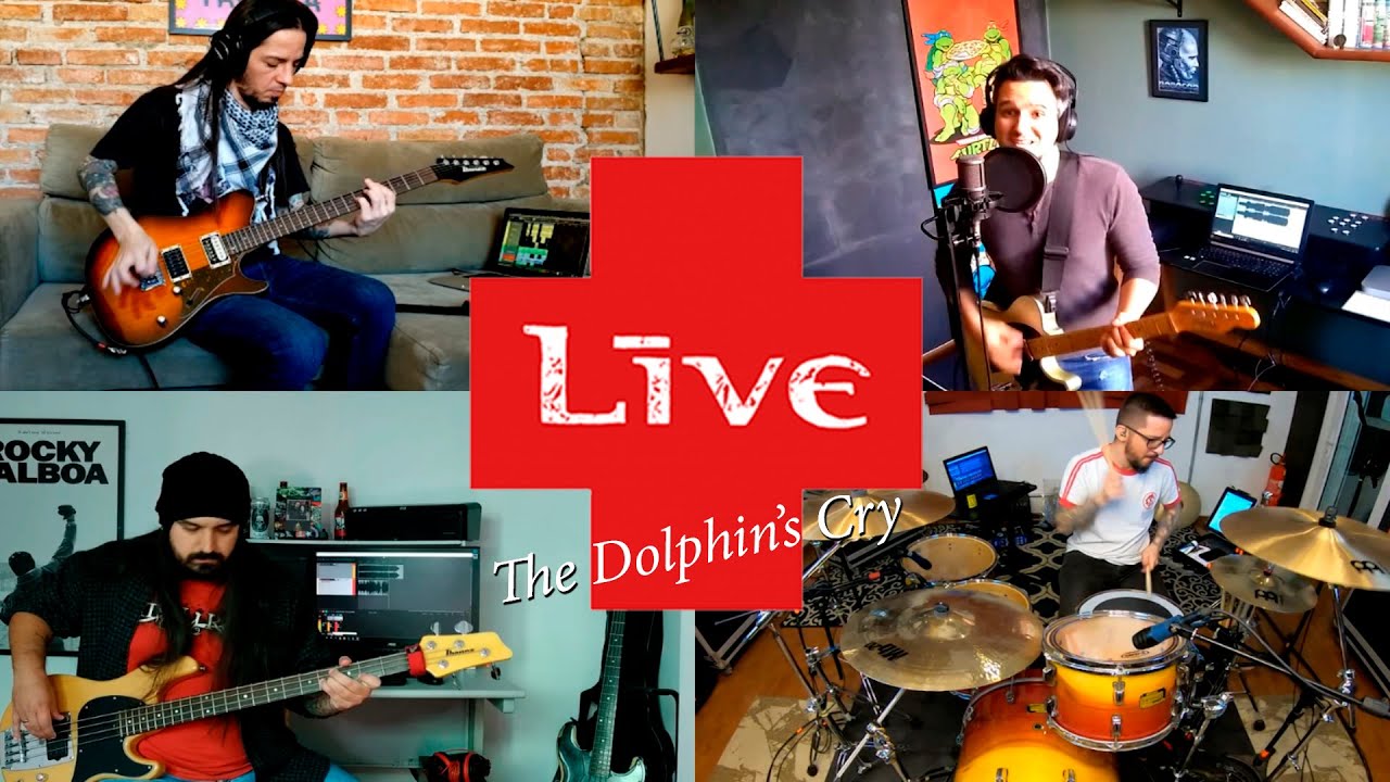 Quarantine session | Live - The Dolphin's Cry | Full cover