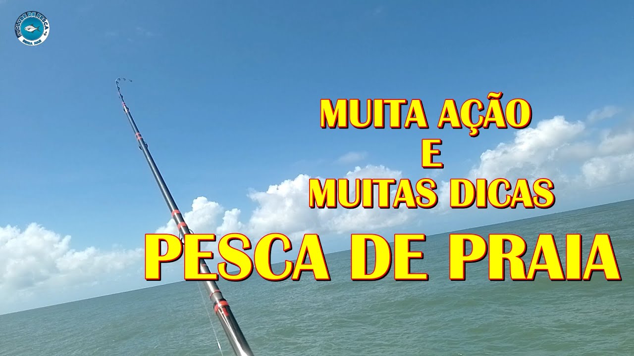 MUITA DICAS E MUITA A&Ccedil;&Atilde;O, PAMPO, UBARANA, COR&Oacute; VIANEZ E 