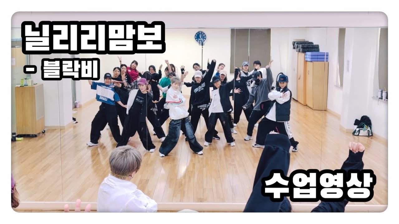 닐리리맘보 - 블락비 | 수업영상 | K-POP #무브먼트댄스 | 매드댄스무브먼트협회작품 | #다이어트댄스 #에어로빅