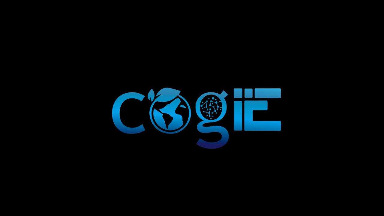 CogIE ACL Demo