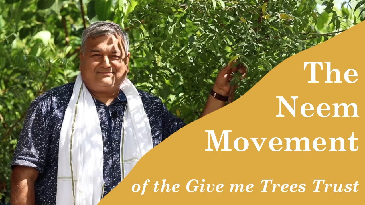 The Neem Tree movement of Give Me Trees Trust