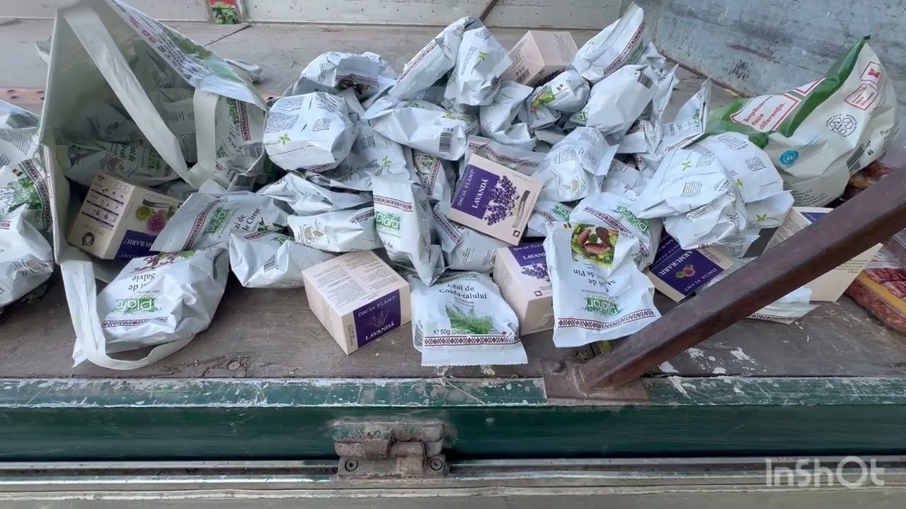 Incercati pana nu este prea târziu!!