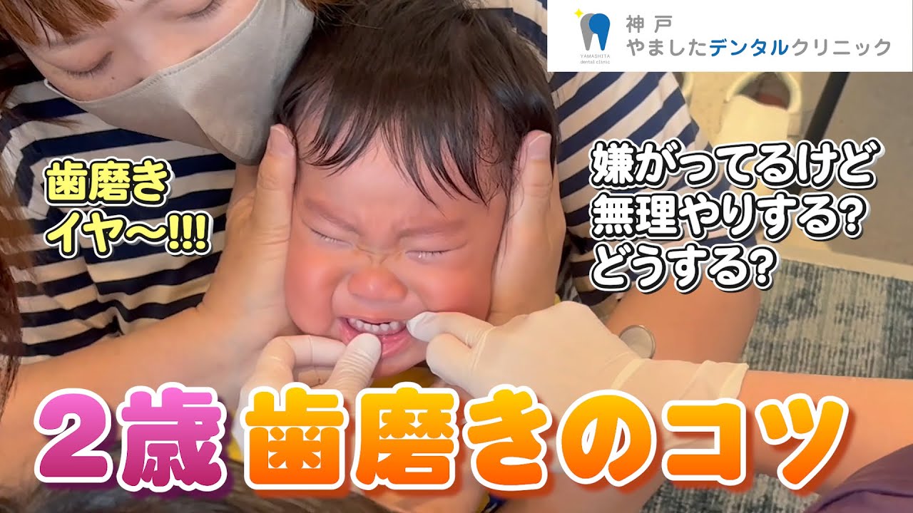 【2歳0か月】歯磨きを嫌がっているときのコツは？初めての歯医者さん