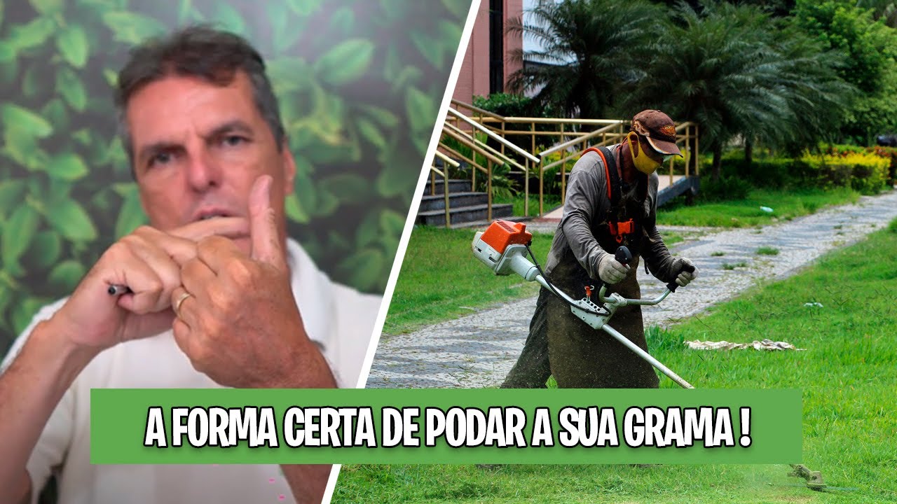 COMO CORTAR GRAMA na ALTURA CORRETA