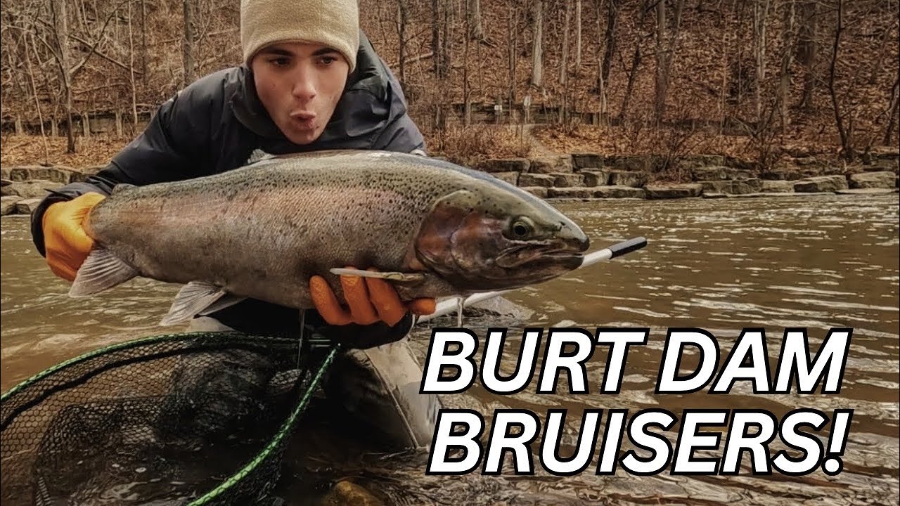 Burt Dam: Secrets to Finding Big Browns