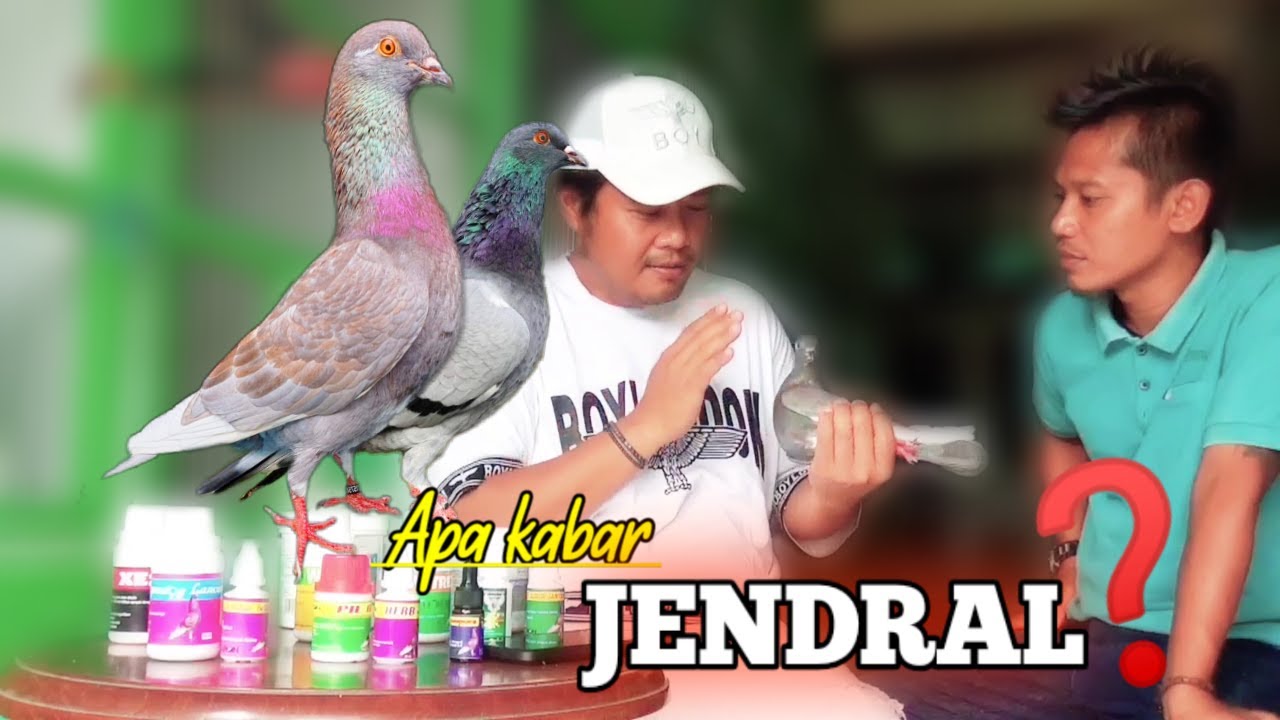 RIVIEW JENDRAL & METEOR TIM BARON RGP BESERTA PERAWATANNYA !! Part 1