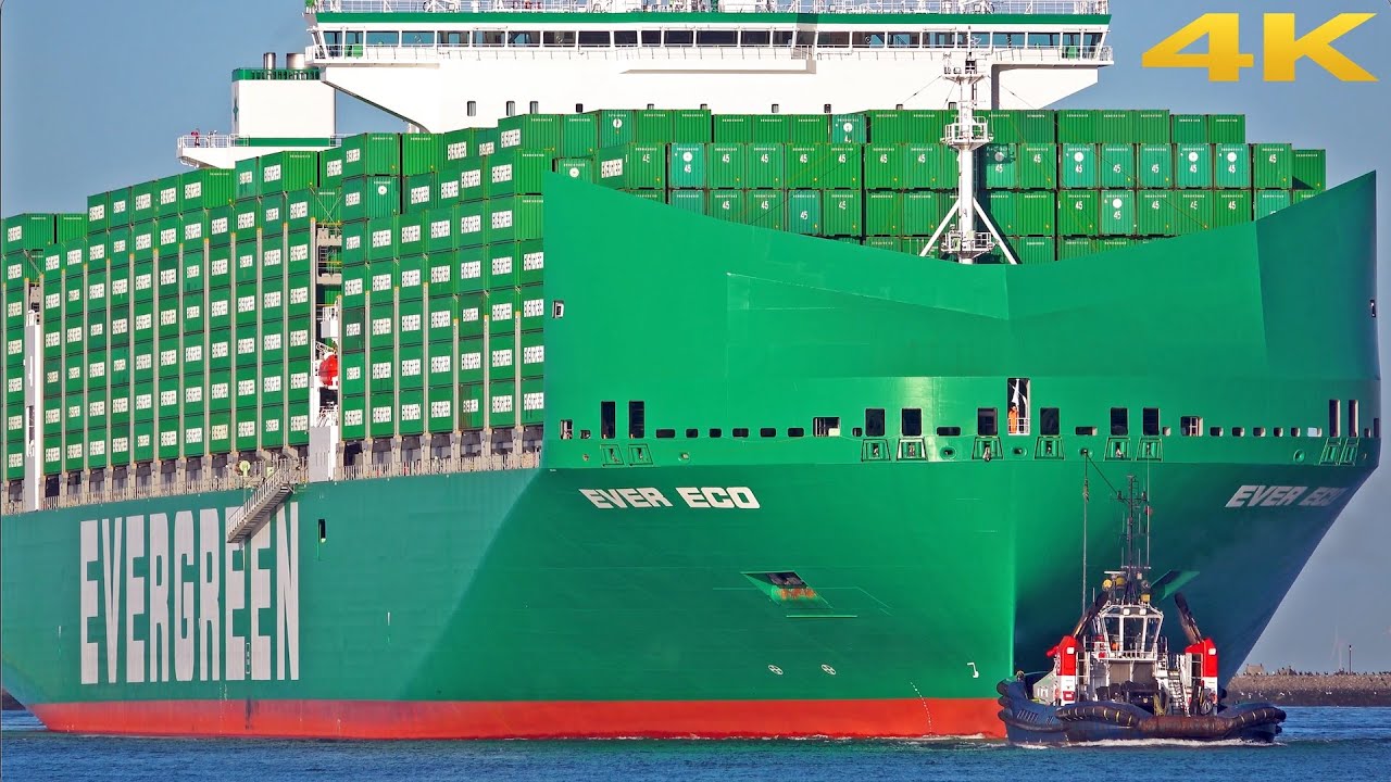🛳️ NEW BIG CONTAINER SHIP 