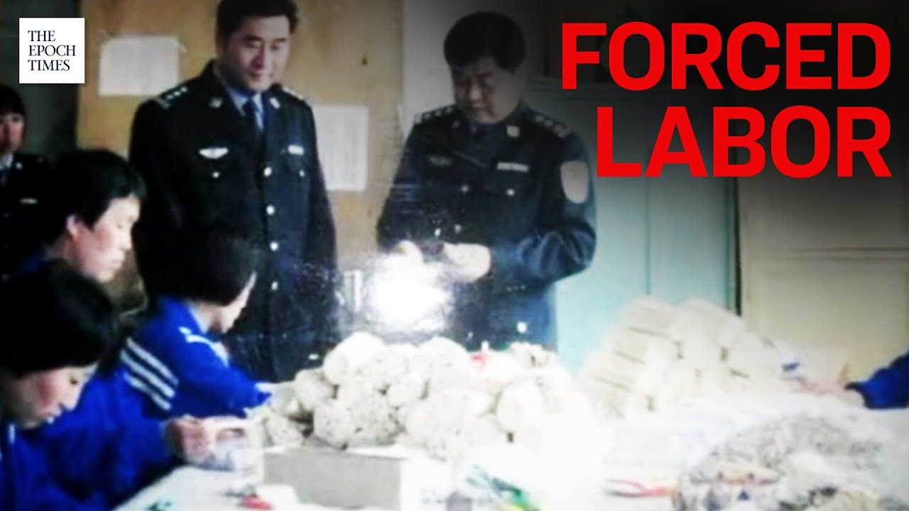 &lsquo;You Work Like Animals&rsquo; Inside China&rsquo;s Vast Prison Labor System | CCP | Human Rights | Epoch News
